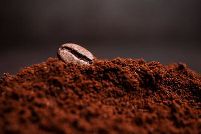 Close-up of chocolate cake