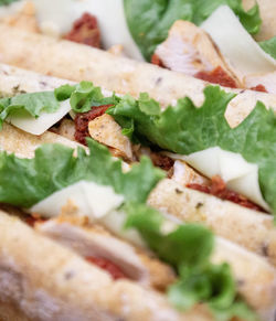 Close-up of food served in plate