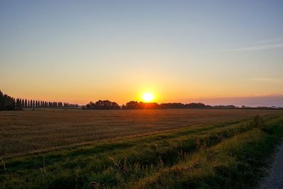 Scenic view of field against sky during sunset