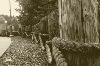 Close-up of fence