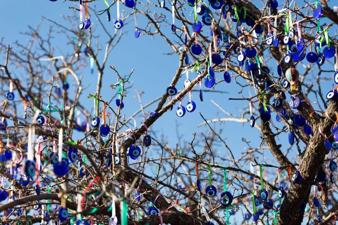 LOW ANGLE VIEW OF BARE TREE AGAINST BLUE SKY