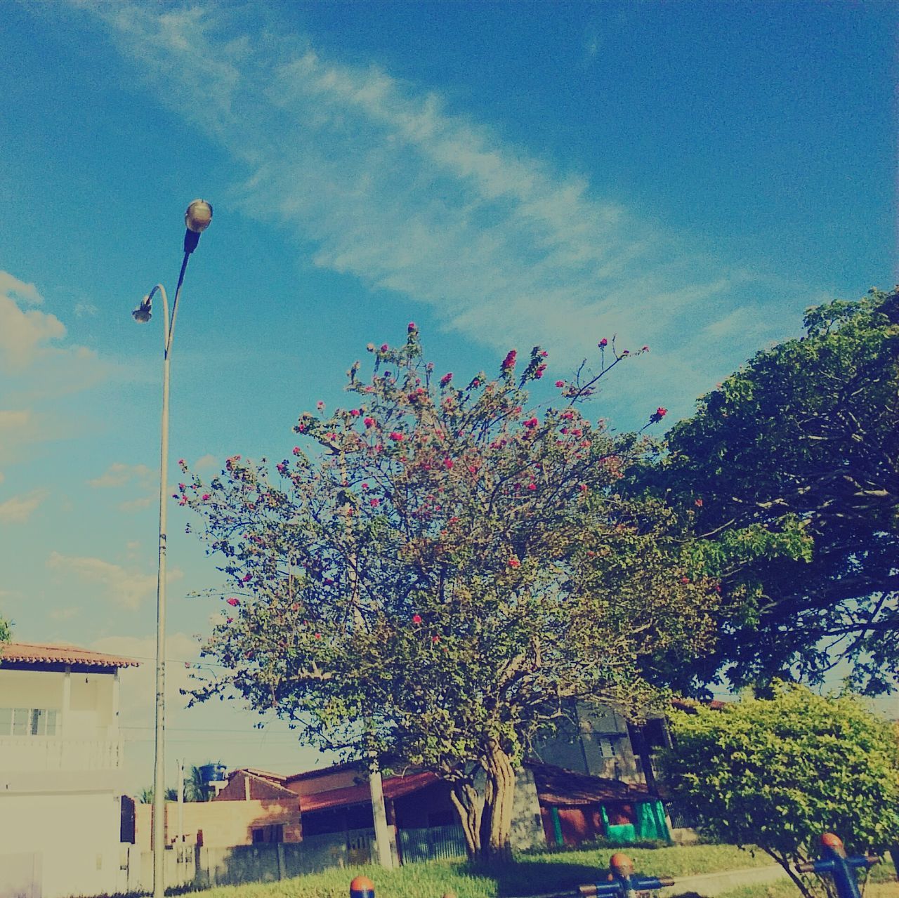 LOW ANGLE VIEW OF MULTI COLORED FLAG AGAINST SKY