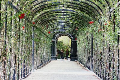 Narrow walkway leading to tunnel