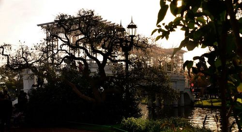 Trees and plants in city against sky