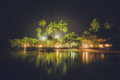 Palm trees at illuminated field by lake at night
