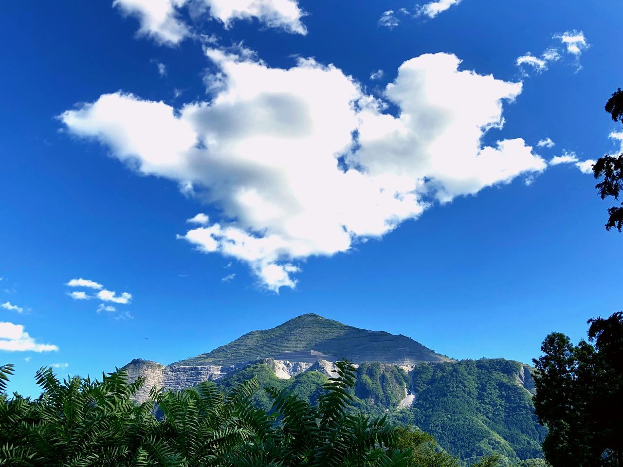 sky, tree, cloud - sky, plant, mountain, beauty in nature, scenics - nature, nature, day, tranquility, low angle view, tranquil scene, blue, no people, growth, outdoors, non-urban scene, travel destinations, idyllic, green color