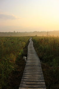 Surface level of stream along grassy field