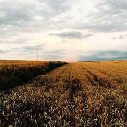 Scenic view of field against cloudy sky