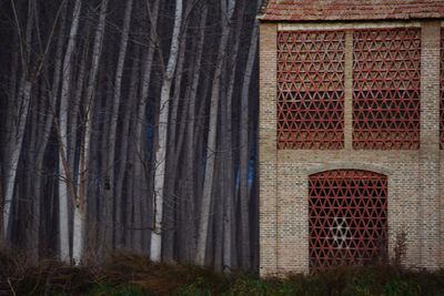 Closed window of building