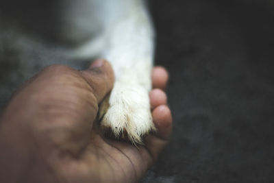 Close-up of person holding hands