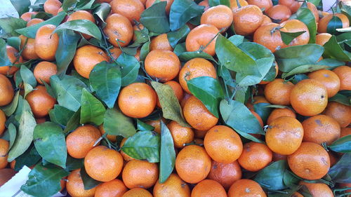 Full frame shot of fruits for sale in market