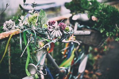 Close-up of flowering plant in basket