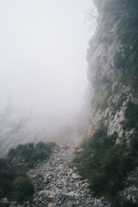 Scenic view of landscape against sky during winter