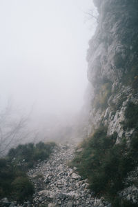 Trail by rock during foggy weather