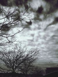 Low angle view of silhouette bare tree against sky