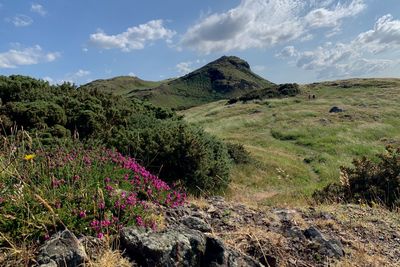 Arthurs seat edinburgh 