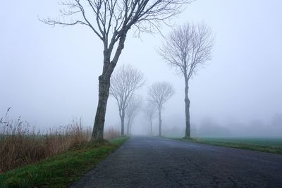Bare trees on landscape against sky