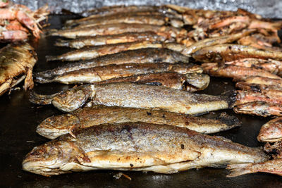 High angle view of fish for sale in market