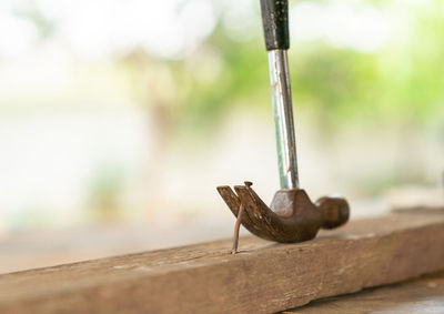 Hammer pulling rusty nail remove out of old wood on out of focus background.