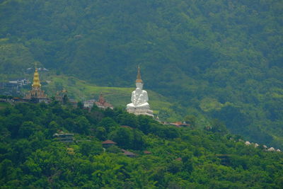 Rear view of man walking on mountain