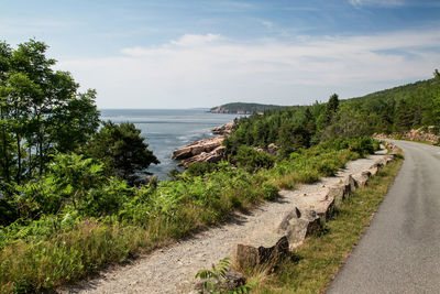 Loop road near ocean in acadia np, maine