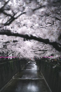 High angle view of city