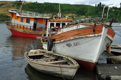 Boats moored on river by trees