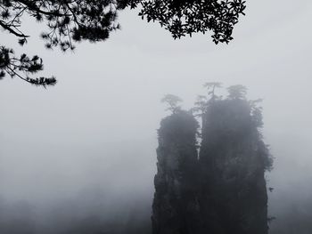 Silhouette trees against sky