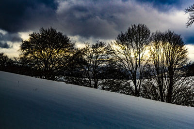 Bare trees on snow covered field against sky