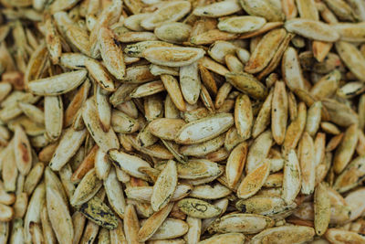 Texture of toasted pumpkin seeds with skin