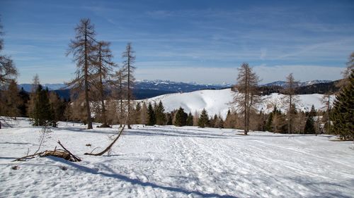 Snow covered field by trees against sky