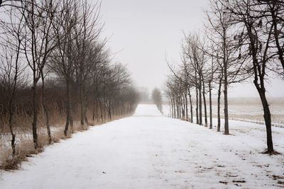 Dirt road amidst bare trees against clear sky during winter