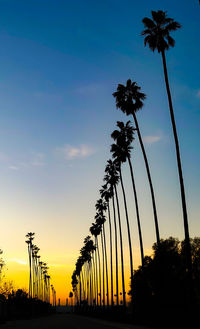 Low angle view of silhouette palm trees against sky during sunset