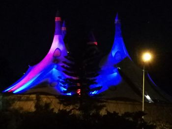 Close-up of illuminated fish in water at night