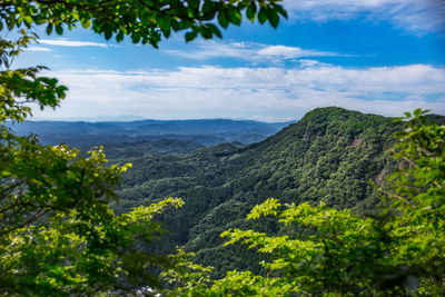 Scenic view of tree mountains against sky