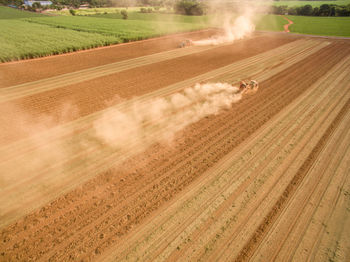 High angle view of agricultural field