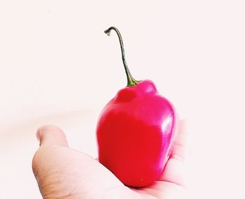 Close-up of hand holding strawberry over white background