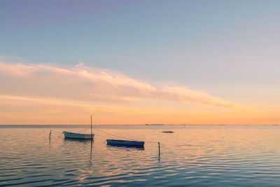 Sailboats in sea against sky during sunset