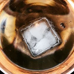 High angle view of ice cream in glass