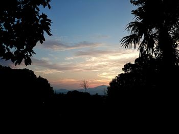 Silhouette trees against sky at sunset