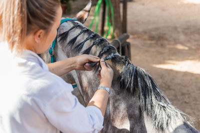 From above back view of unrecognizable female making braids on mane of horse standing in paddock on ranch