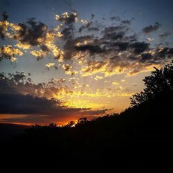 Silhouette of trees at sunset