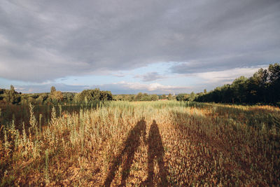 Scenic view of field against sky