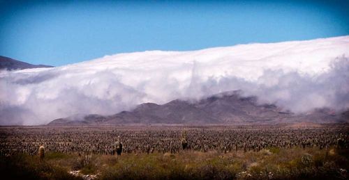 Scenic view of landscape against sky