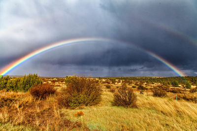 Scenic view of landscape against dramatic sky