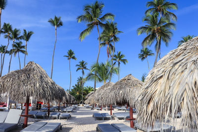 Palm trees on beach against sky