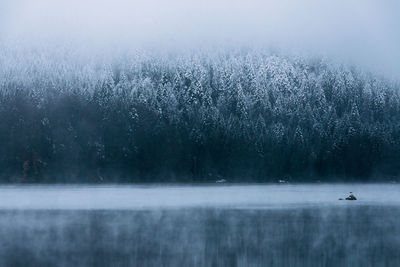 Scenic view of lake during winter