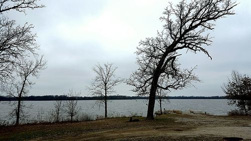 Bare trees by lake against sky