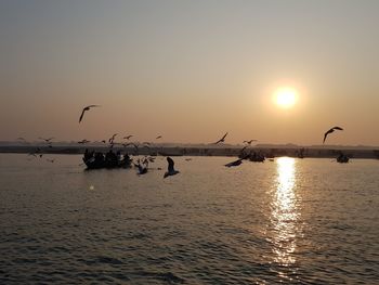 Silhouette birds flying over lake against sky during sunset