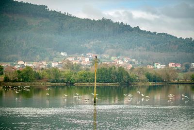 Scenic view of lake by trees against sky